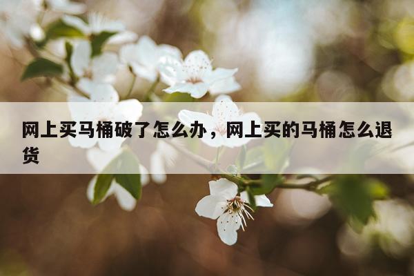 网上买马桶破了怎么办，网上买的马桶怎么退货