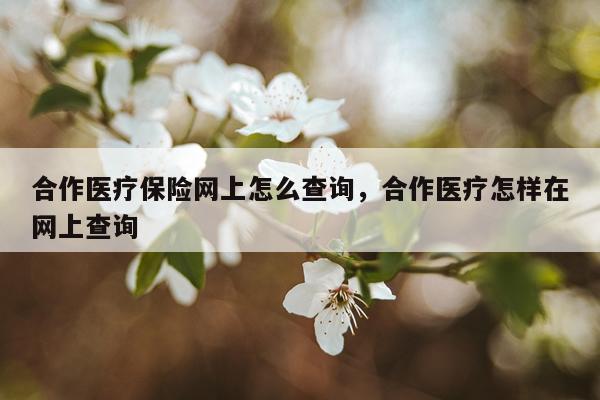合作医疗保险网上怎么查询，合作医疗怎样在网上查询
