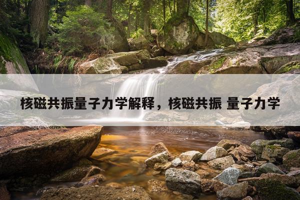 核磁共振量子力学解释，核磁共振 量子力学