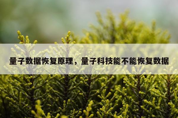 量子数据恢复原理，量子科技能不能恢复数据