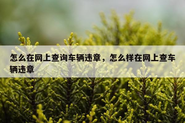 怎么在网上查询车辆违章，怎么样在网上查车辆违章