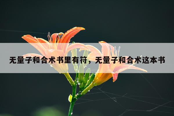 无量子和合术书里有符，无量子和合术这本书