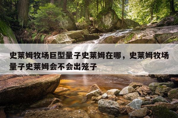 史莱姆牧场巨型量子史莱姆在哪，史莱姆牧场量子史莱姆会不会出笼子