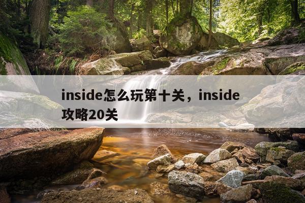 inside怎么玩第十关，inside 攻略20关