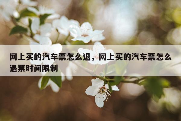 网上买的汽车票怎么退，网上买的汽车票怎么退票时间限制