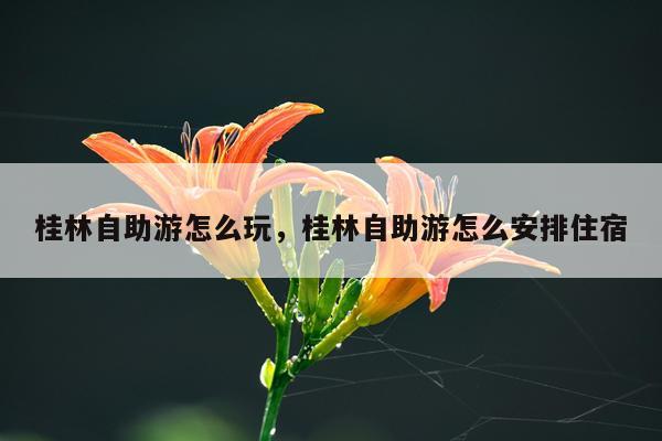 桂林自助游怎么玩，桂林自助游怎么安排住宿