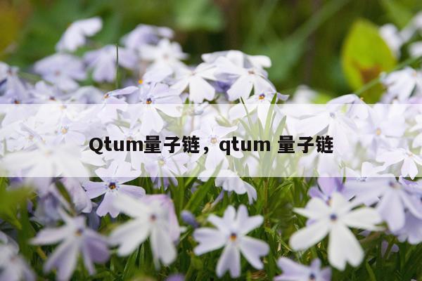 Qtum量子链，qtum 量子链