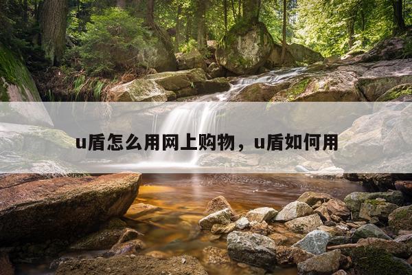 u盾怎么用网上购物，u盾如何用