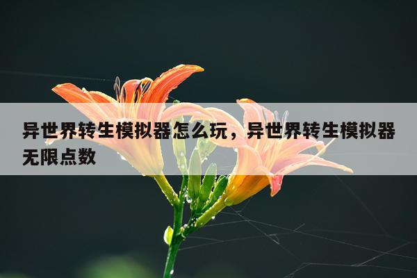 异世界转生模拟器怎么玩，异世界转生模拟器无限点数