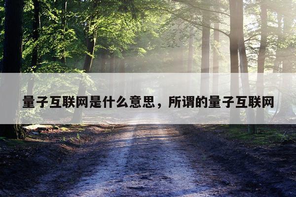 量子互联网是什么意思，所谓的量子互联网