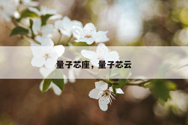 量子芯座，量子芯云