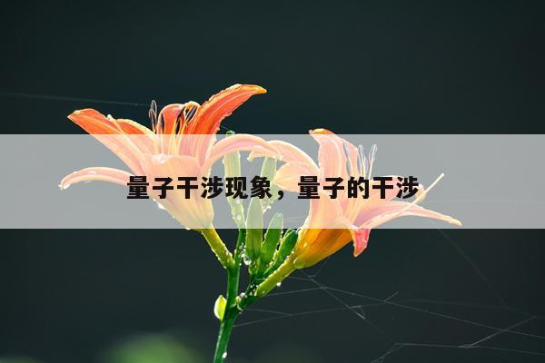 量子干涉现象，量子的干涉