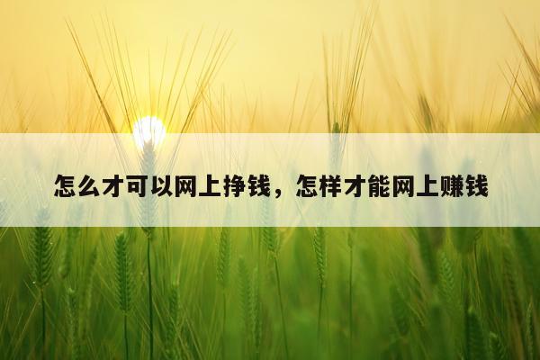 怎么才可以网上挣钱，怎样才能网上赚钱