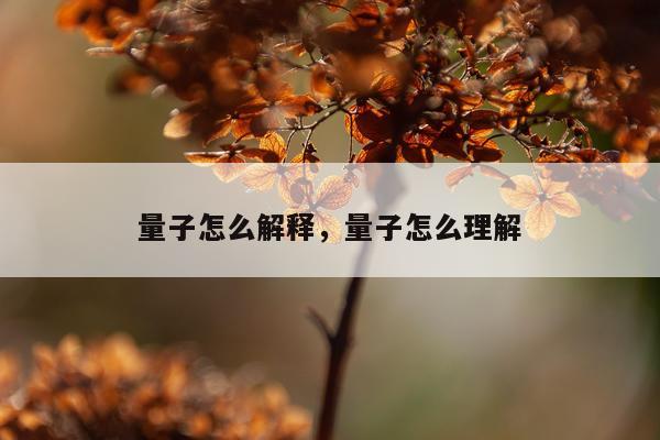 量子怎么解释，量子怎么理解