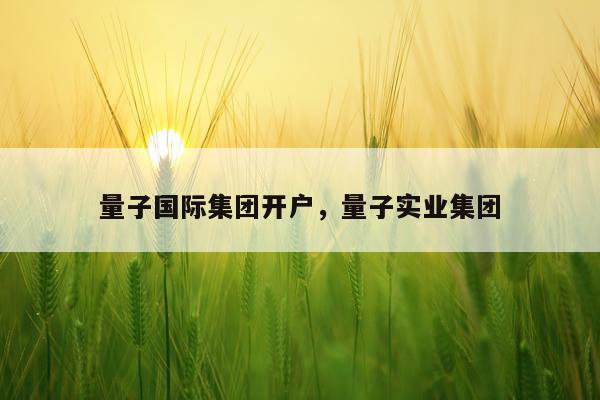 量子国际集团开户，量子实业集团