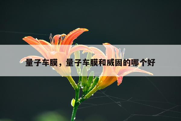 量子车膜，量子车膜和威固的哪个好