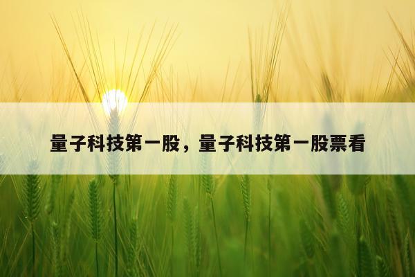 量子科技第一股，量子科技第一股票看