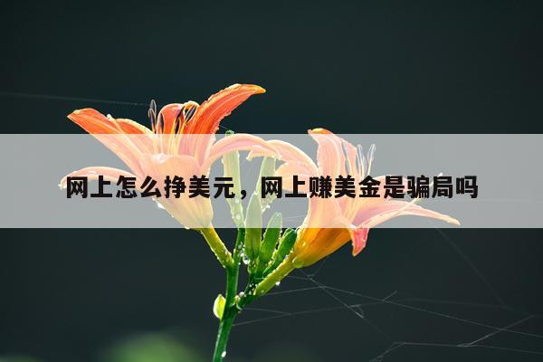 网上怎么挣美元，网上赚美金是骗局吗