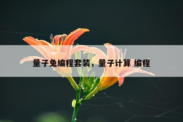 量子兔编程套装，量子计算 编程