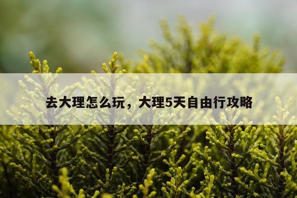 去大理怎么玩，大理5天自由行攻略