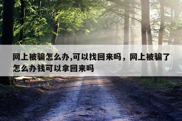 网上被骗怎么办,可以找回来吗，网上被骗了怎么办钱可以拿回来吗