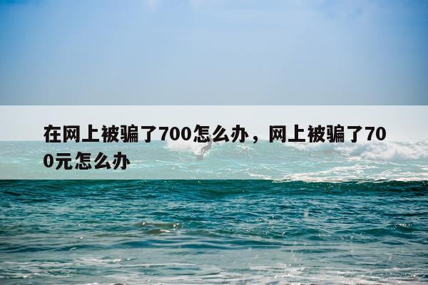 在网上被骗了700怎么办，网上被骗了700元怎么办