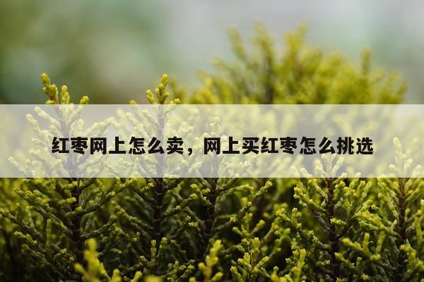 红枣网上怎么卖，网上买红枣怎么挑选