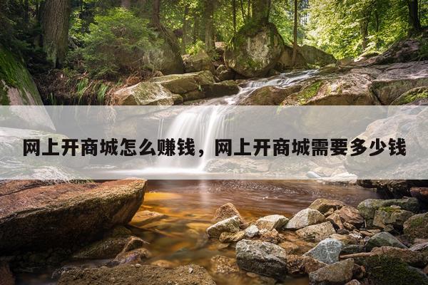 网上开商城怎么赚钱，网上开商城需要多少钱