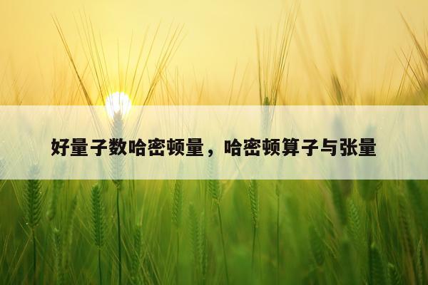 好量子数哈密顿量，哈密顿算子与张量