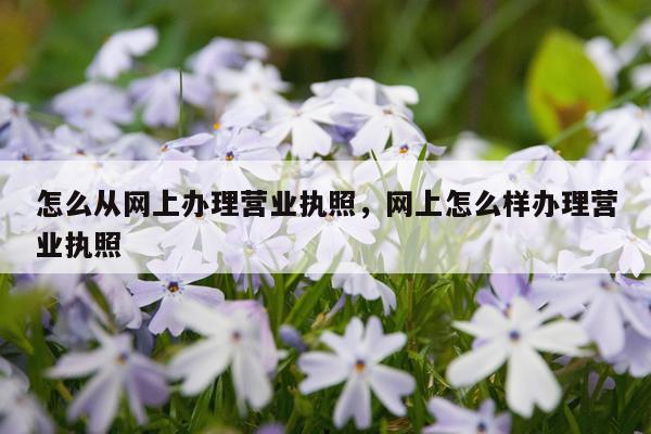 怎么从网上办理营业执照，网上怎么样办理营业执照