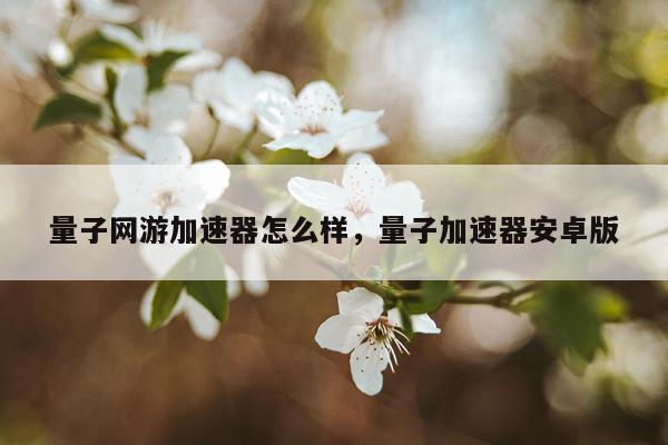量子网游加速器怎么样，量子加速器安卓版