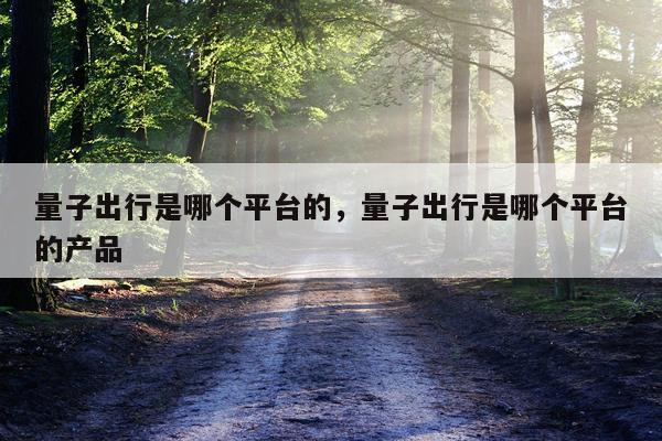 量子出行是哪个平台的，量子出行是哪个平台的产品