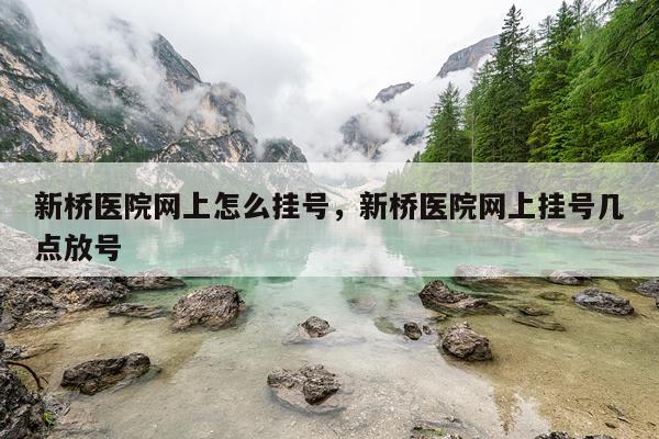 新桥医院网上怎么挂号，新桥医院网上挂号几点放号
