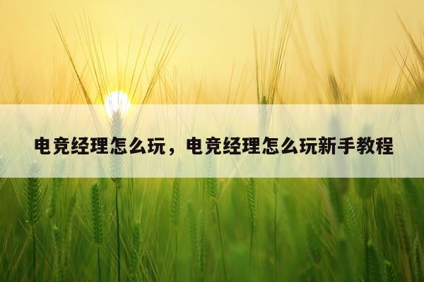 电竞经理怎么玩，电竞经理怎么玩新手教程