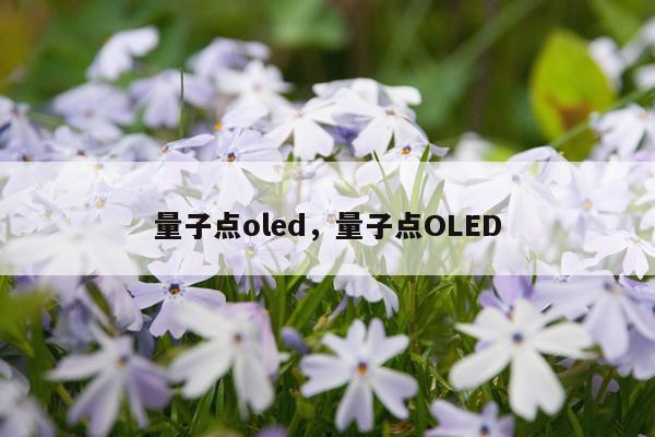 量子点oled，量子点OLED