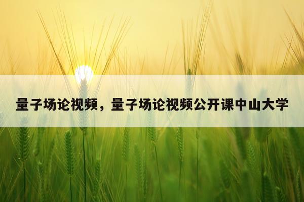 量子场论视频，量子场论视频公开课中山大学