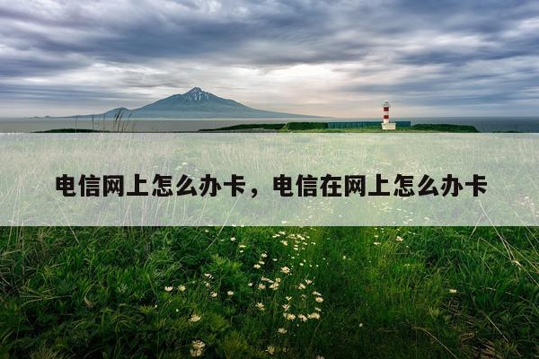 电信网上怎么办卡，电信在网上怎么办卡