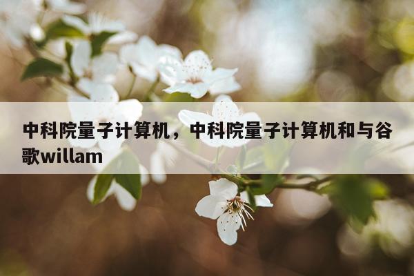 中科院量子计算机，中科院量子计算机和与谷歌willam