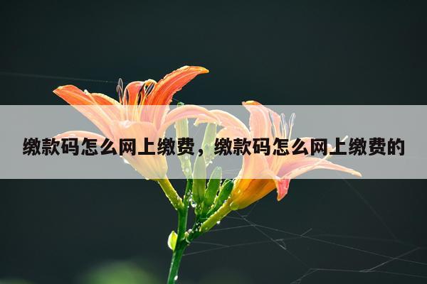 缴款码怎么网上缴费，缴款码怎么网上缴费的