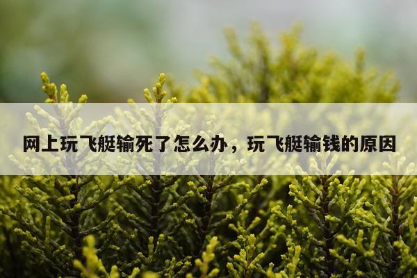 网上玩飞艇输死了怎么办，玩飞艇输钱的原因