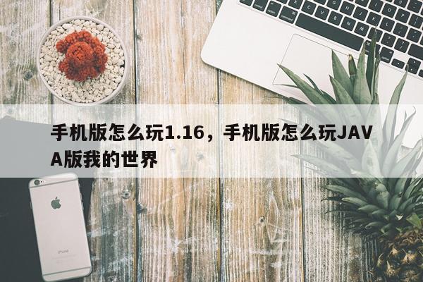 手机版怎么玩1.16，手机版怎么玩JAVA版我的世界