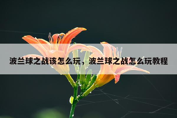 波兰球之战该怎么玩，波兰球之战怎么玩教程