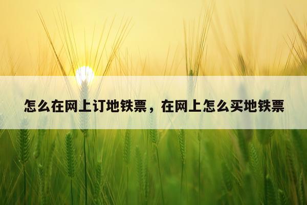 怎么在网上订地铁票，在网上怎么买地铁票