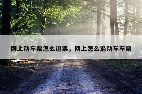 网上动车票怎么退票，网上怎么退动车车票