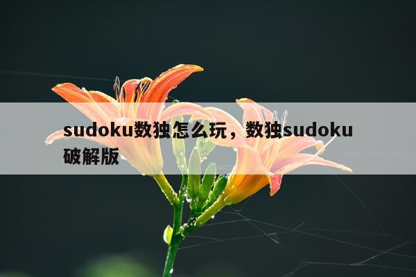 sudoku数独怎么玩，数独sudoku破解版