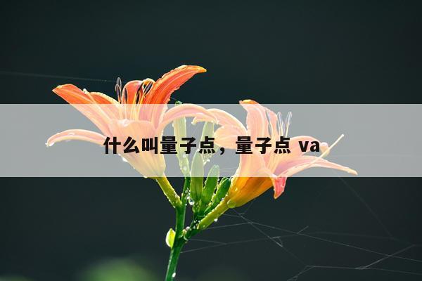 什么叫量子点，量子点 va