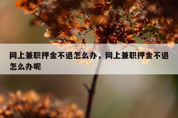 网上兼职押金不退怎么办，网上兼职押金不退怎么办呢