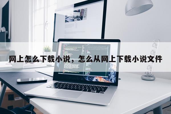 网上怎么下载小说，怎么从网上下载小说文件