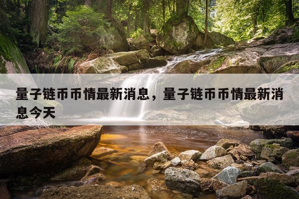 量子链币币情最新消息，量子链币币情最新消息今天