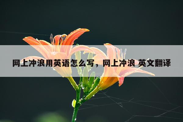 网上冲浪用英语怎么写，网上冲浪 英文翻译